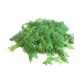 Fresh Drumstick Leaves(Moringa leaves) - 1 bunch - 200g (apprx)